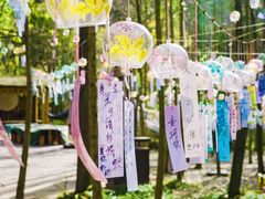 -剑门关风景区