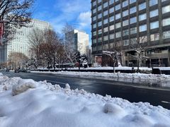 -北海道厅旧本厅舍(旧本庁舎)