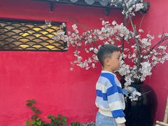 -HERRE·FARM 赫尔露营农场·团建聚会包场