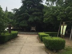 -长兴岛郊野公园农场食堂