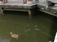 -广州神农草堂中医药博物馆