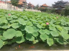 -大悲禅寺