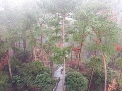 景点-梦姑塘文化公园
