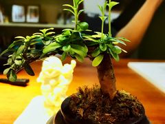 收银台-豆爺小面(朱雀店)