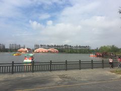 -上海长兴岛郊野公园