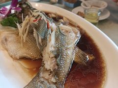 -刘胖子家常菜·蹄花焖藕(富安街店)