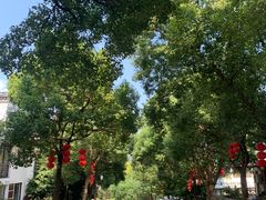 -南北湖风景区