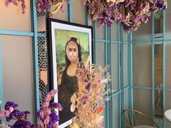 -喵屿·大理花园猫咖