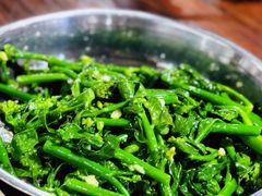 姜汁炒芥兰-石岐乳鸽村(桥观坊南四巷店)
