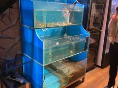 水产区-Thai Basil罗勒叶泰式餐厅(时代天街店)