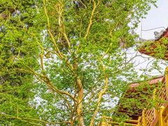 -中国观音故里广德景区
