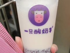 -一只酸奶牛(八一路店)
