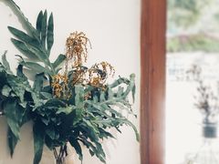 -COTTON CAFE(德信·中外公寓店)