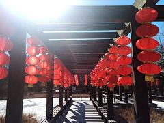 -北京植物园-展览温室