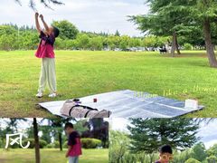 -洨河生态公园