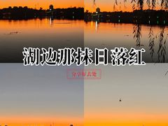 -洛龙公园