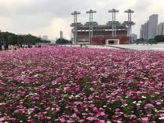 -海心沙亚运公园