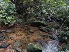 -海南热带雨林国家公园吊罗山景区
