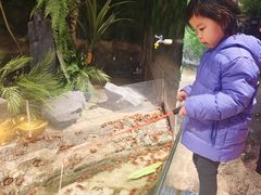 -正佳雨林生态植物园