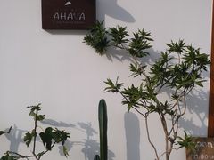 -AHAVA·Fang Baking Studio