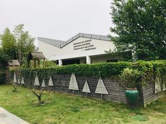 -田园东方蜜桃村的田野营地