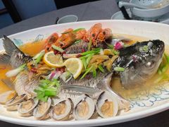 盐油蒸吊水鲩鱼-晓粤·惹味粤菜(凯德乐峰广场店)