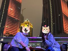 -重庆两江夜游-交运系列