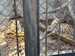 -大连森林动物园