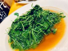 -鹿港小镇经典老上海菜(长乐路店)