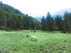 -硗碛藏寨·神木垒景区