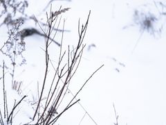 -灵山