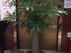 -新伊香园假日酒店(宝体店)