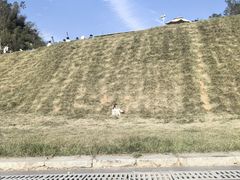 -长沙黑麋峰国家森林公园