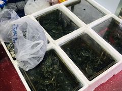 -京深海鲜市场(光彩路店)