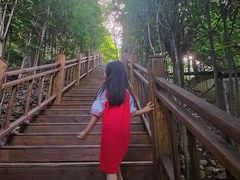 -长谷洞天