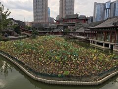 -龙潭水乡