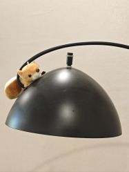 -奥丽维娅美容养生会所