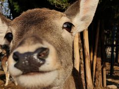 -济南野生动物世界