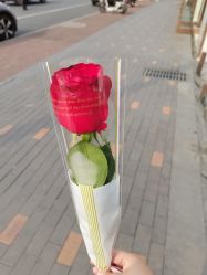 -玫莉蔻皮肤管理中心