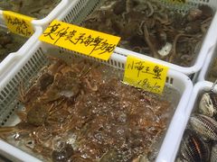 -老虎滩船说·海胆水饺·大连海鲜(老虎滩店)
