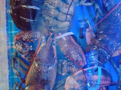 -日照大牌檔•小船海鲜(万平口店)
