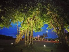 -皇马海口湾海景酒店(万绿园秀英港店)