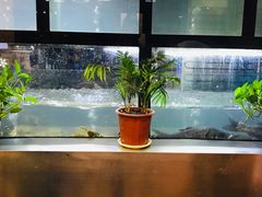 -楠翔馆桐庐菜(胜利河美食街店)
