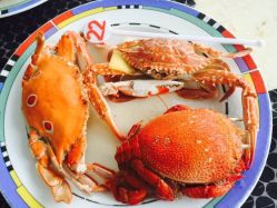 重庆阳光五洲大酒店阳光西餐厅-阳光五洲大酒店·宴会厅