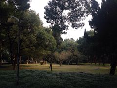 -中国人民解放军联勤保障部队第九〇三医院(九里松院区)