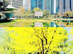-陆家嘴中心绿地