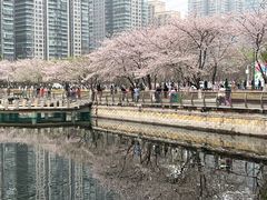 -西北湖绿化广场