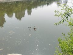 -前关湿地公园