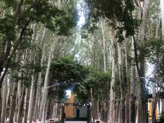 -艾提尕尔清真寺