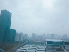 -深圳星河丽思卡尔顿酒店